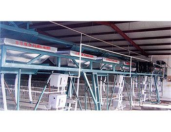 蛋、種雞自動給料機