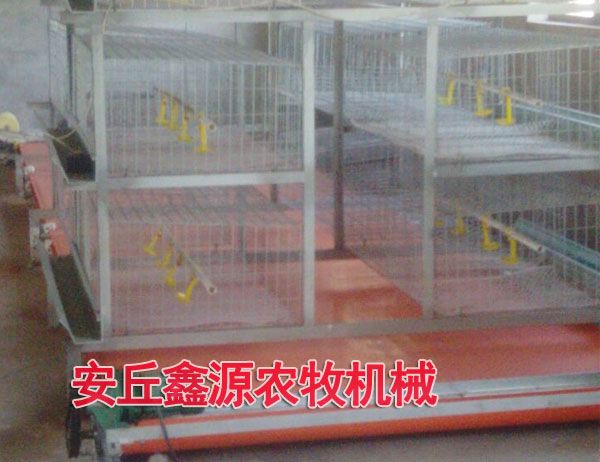 單層雞糞專(zhuān)用傳送帶細(xì)節(jié)圖