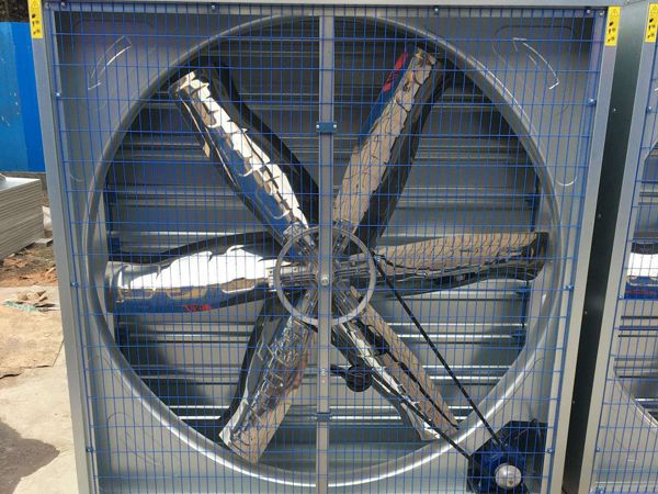 畜牧養(yǎng)殖風(fēng)機(jī)