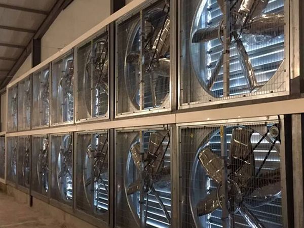 養(yǎng)殖場(chǎng)風(fēng)機(jī)