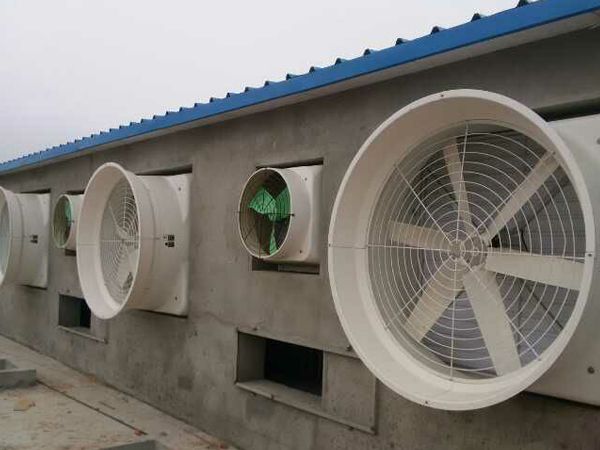 畜牧風(fēng)機(jī)